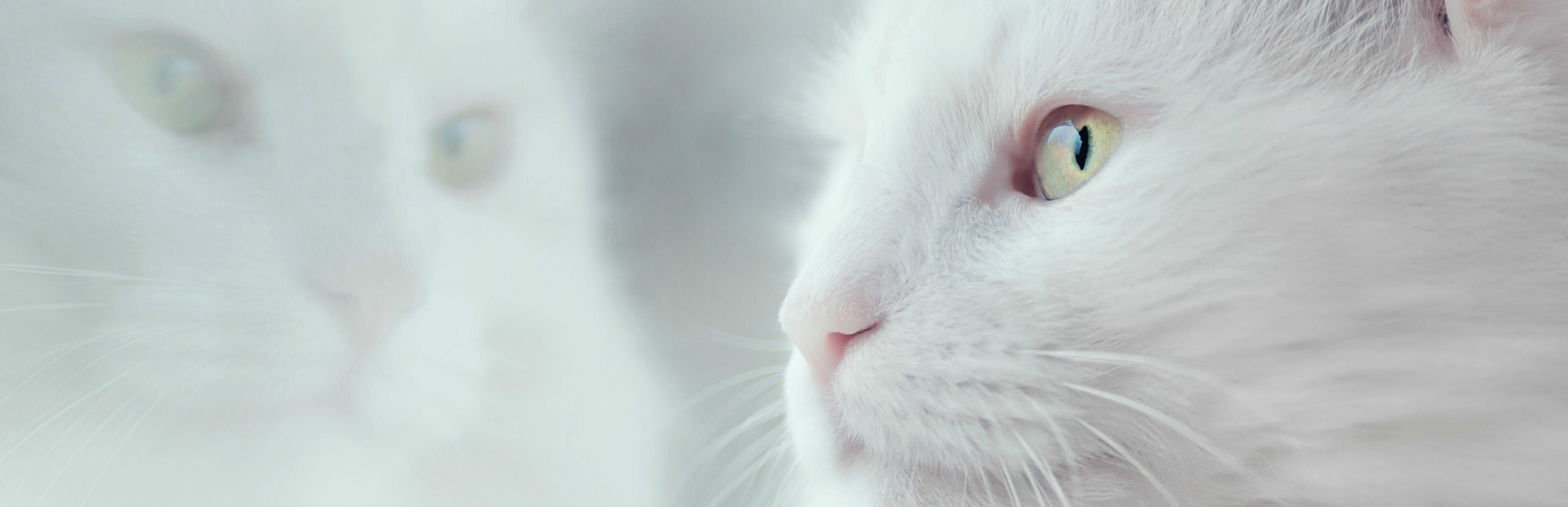 oleg-danylenko-OU3mzYkIRJc-unsplash-2